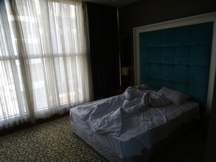 DSC00221 (700x525, 318Kb)