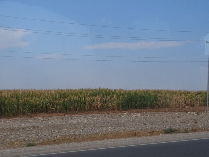 DSC00246 (700x525, 313Kb)
