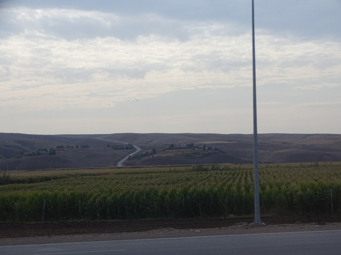 DSC00252 (700x525, 274Kb)