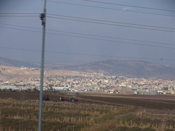 DSC00263 (700x525, 338Kb)