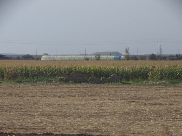 DSC00270 (700x525, 297Kb)