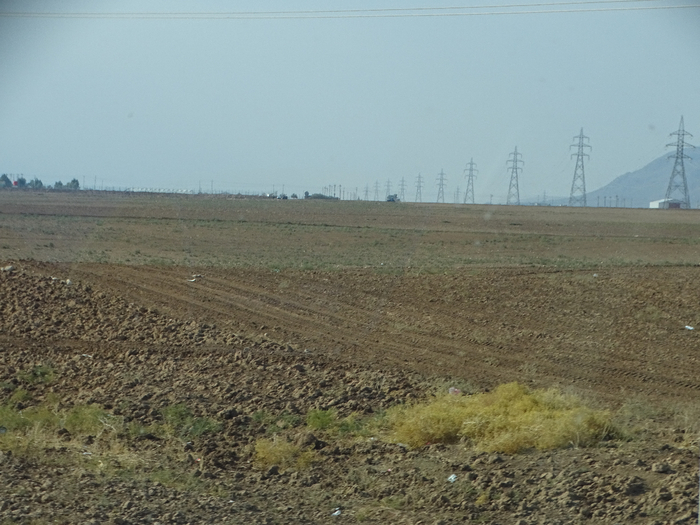 DSC00274 (700x525, 373Kb)