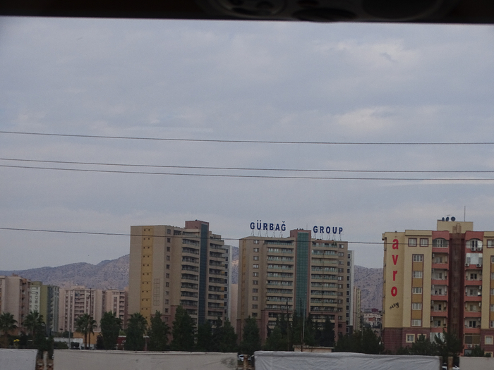 DSC00285 (700x525, 299Kb)
