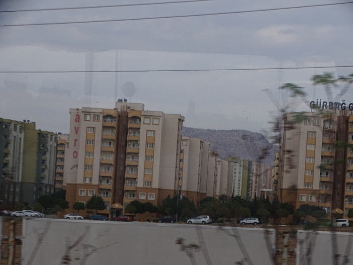 DSC00287 (700x525, 294Kb)