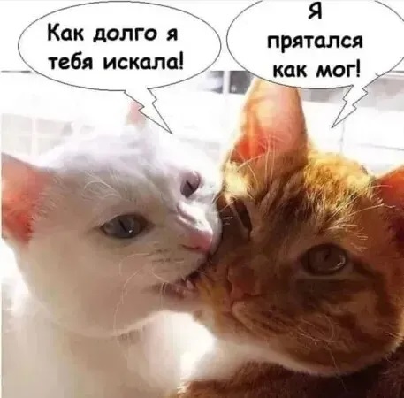 4743317_i_1_webpmi (457x450, 51Kb)