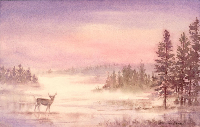 Deer-at-sunset (700x446, 289Kb)