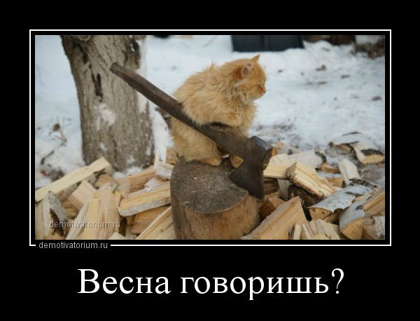 5402287_demotivatorium_ru_vesna_govorish_81803 (600x458, 39Kb)