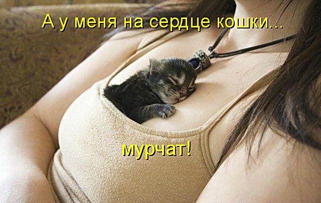 4743317_0_19d9e3_468b5db0_orig640x406 (640x406, 54Kb)