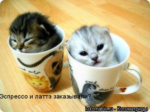 4743317_5P (500x374, 31Kb)