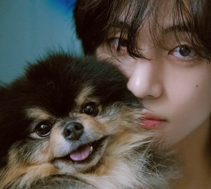 17 -       -   BTS (700x628, 86Kb)