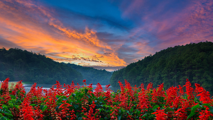 Flowers garden with the beautiful sky, Thailand (700x393, 415Kb)