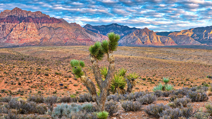 Sunrise at Red Rock Canyon National Conservation Area, Nevada, USA (700x393, 522Kb)