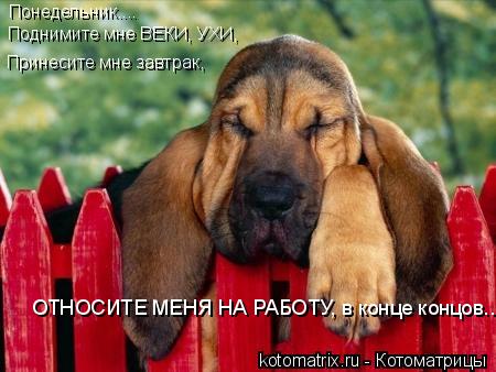 4743317_l5 (450x338, 33Kb)