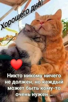 4743317_359cb0d72bf5d295197460154b138480 (236x354, 21Kb)