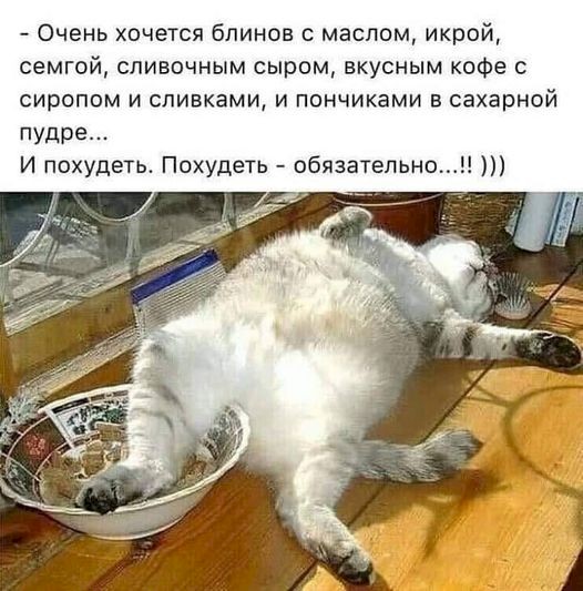 4743317_812a1f8e (526x533, 71Kb)