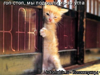 4743317_f9 (400x300, 21Kb)