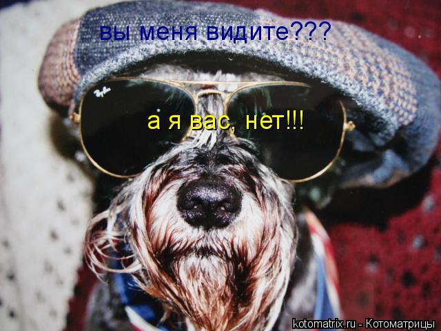 4743317_qx (640x480, 56Kb)