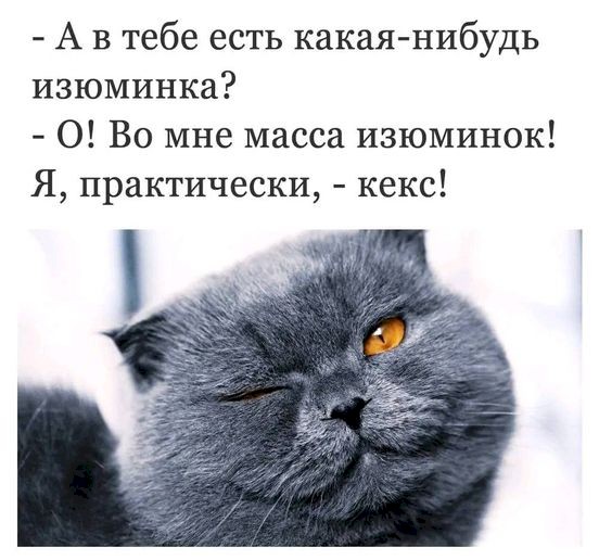 4743317_07d939a0 (552x516, 57Kb)