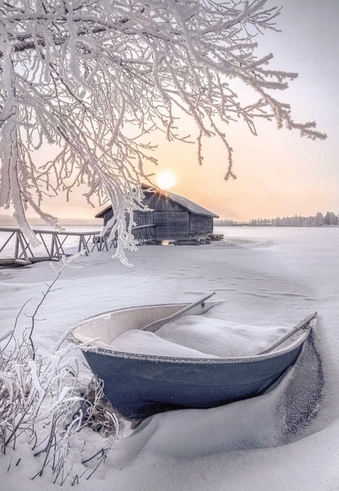IMG-20240215-WA0033 (483x700, 148Kb)