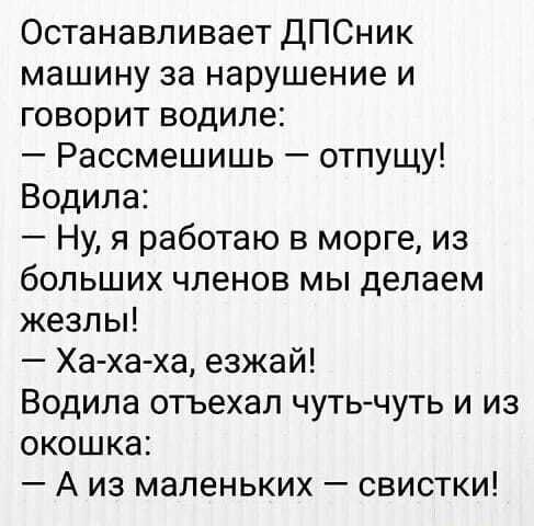 5402287_53fab5793239614c28c825529bb3381c (487x480, 33Kb)