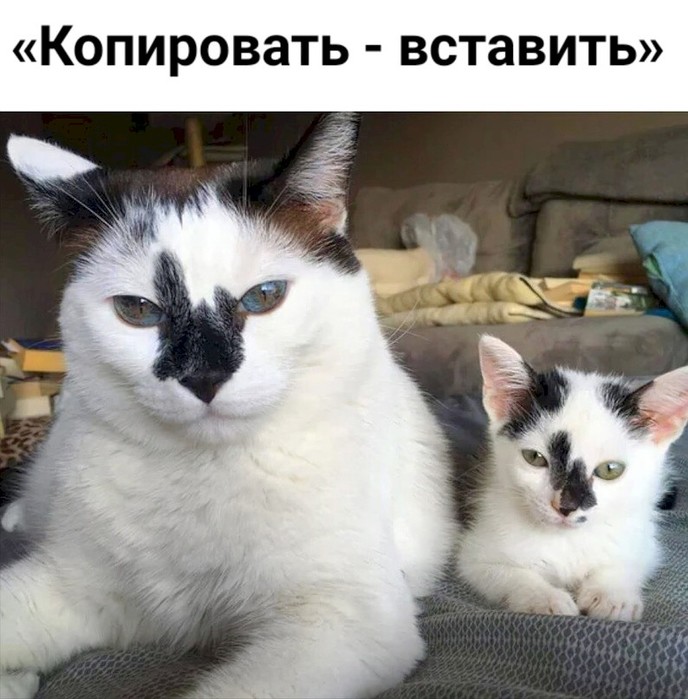 4743317_6b96dd8d (688x700, 101Kb)