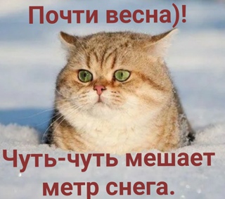 4743317_RusiF23kWVE (320x283, 41Kb)