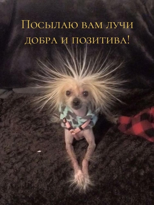 4743317_4bbb694a15828343c70db5dc0a735938 (525x700, 209Kb)