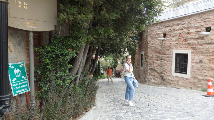 P9130114 (700x393, 363Kb)