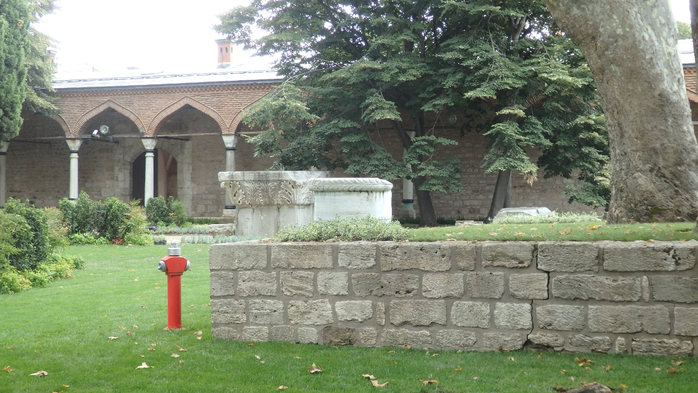 P9130137 (700x393, 342Kb)