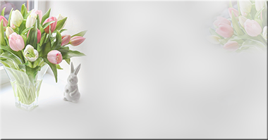 33 (380x199, 63Kb)