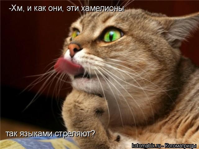 4743317_cU (640x480, 44Kb)