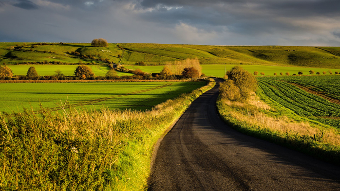 Fields at Hackpen Hill on the Malborough Downs in autumn afternoon, Wiltshire, England, UK (700x393, 419Kb)