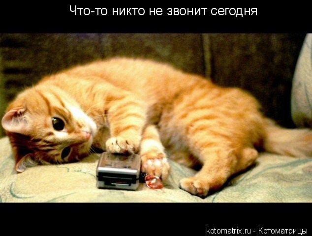4743317_J (634x480, 44Kb)