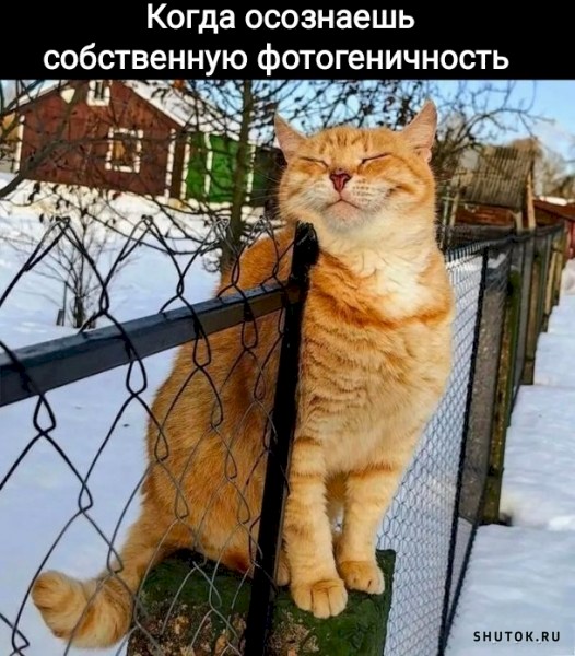 4743317_62dce9c2 (526x600, 93Kb)