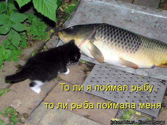 4743317_AC (640x480, 74Kb)
