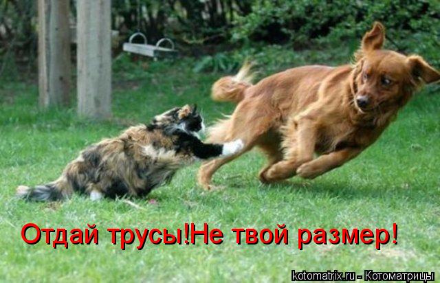 4743317_X6 (640x412, 54Kb)