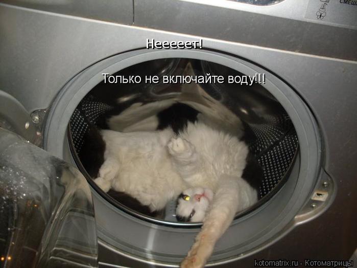 4743317_7l (700x524, 44Kb)