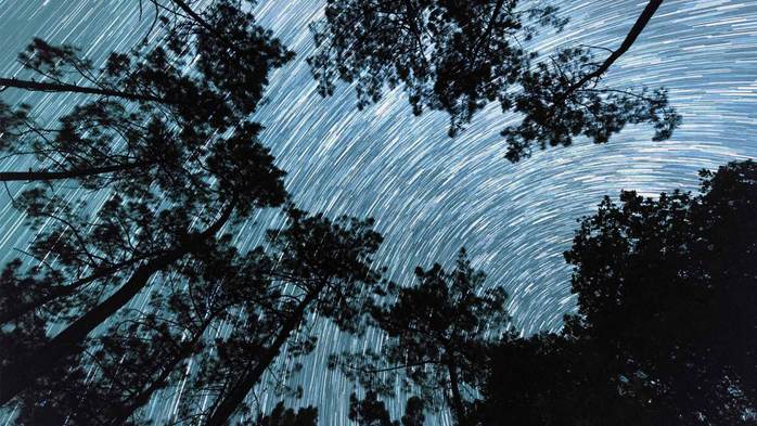 Star trail from the roots of a pine grove in Dordogne (700x393, 416Kb)