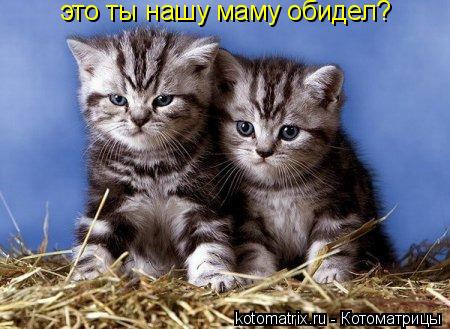 4743317_jX (450x329, 39Kb)