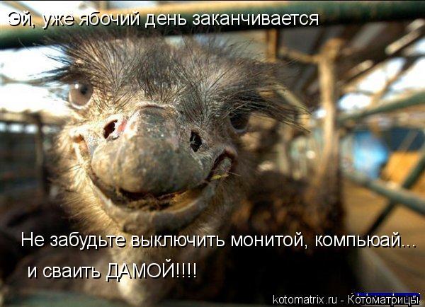 4743317_Ug (600x434, 54Kb)