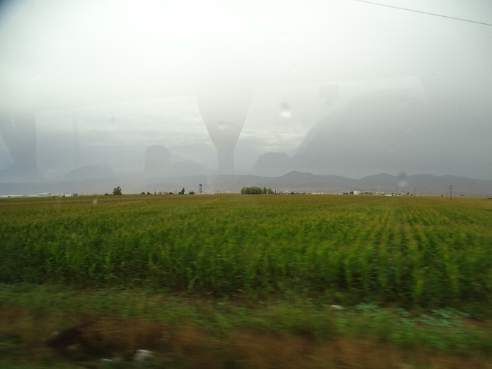 DSC00296 (700x525, 255Kb)
