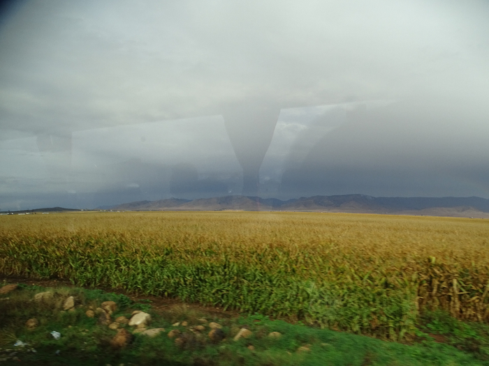 DSC00301 (700x525, 313Kb)