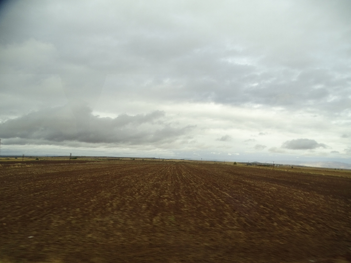 DSC00305 (700x525, 259Kb)