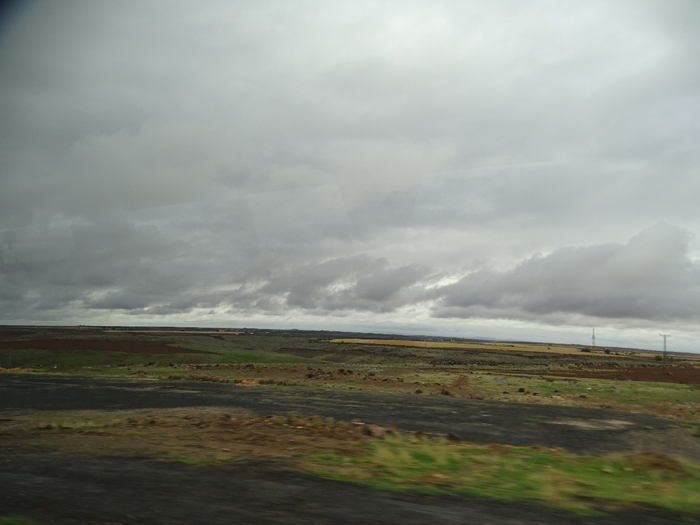DSC00307 (700x525, 250Kb)
