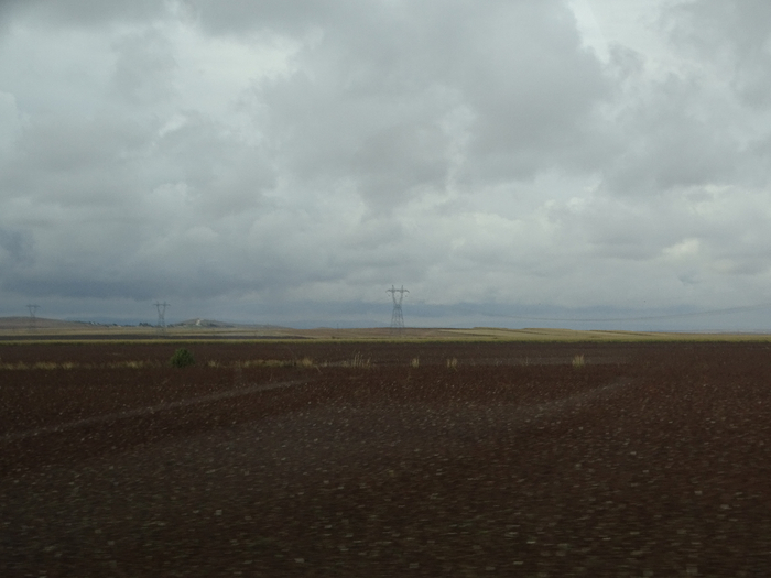 DSC00316 (700x525, 237Kb)