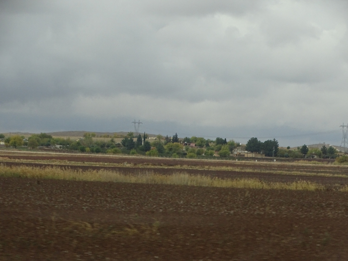 DSC00319 (700x525, 288Kb)