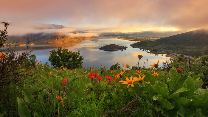 Sunrise with spring wildflowers in Heber Valley, Wasatch Mountains, Utah, USA (700x393, 374Kb)