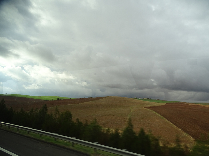 DSC00349 (700x525, 251Kb)