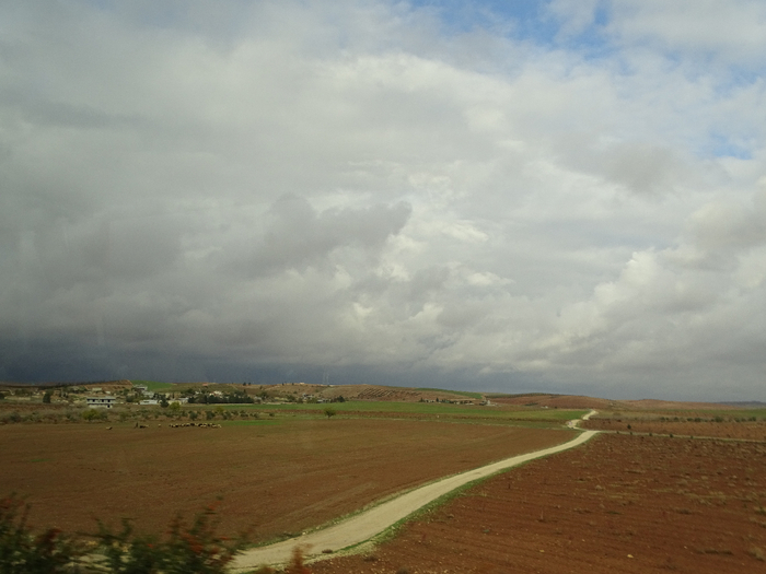 DSC00351 (700x525, 278Kb)