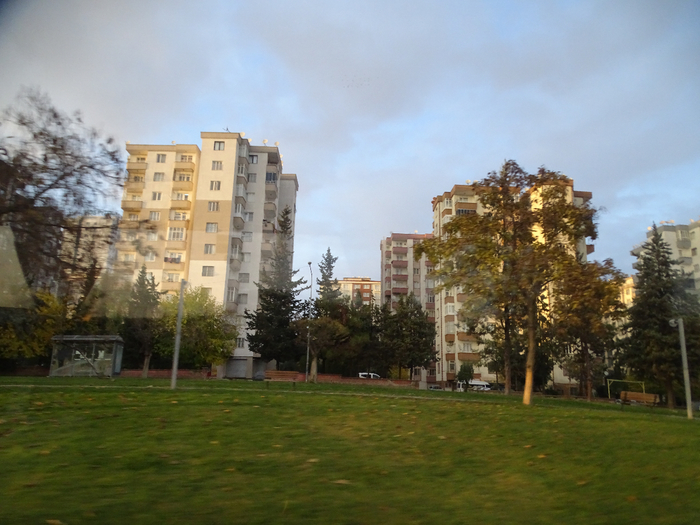 DSC00373 (700x525, 379Kb)